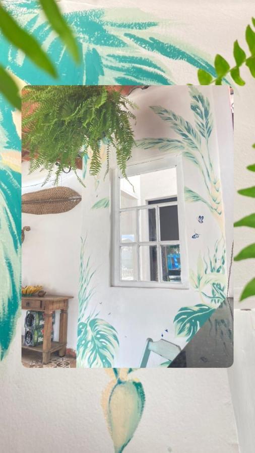 Paraty Santo Hostel Bar المظهر الخارجي الصورة